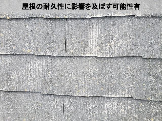 熊本市東区現場調査屋根劣化