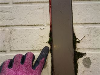 葛飾区｜アパート階段の目隠しサイディングは塗り替え？張り替え？