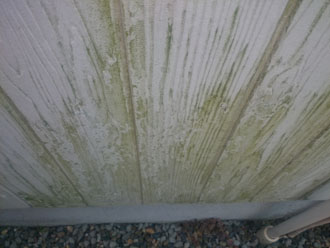 台東区清川で窯業系サイディング外壁の苔と藻にお悩みとのご相談