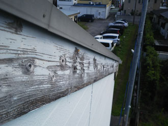 台東区谷中で台風で外壁に穴が開いた建物を点検、部分的な張り替えをご提案