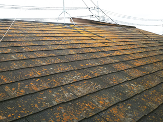 小金井市緑町にて台風でめくれた棟板金の点検調査、劣化した化粧スレートにはサーモアイSiによる塗装工事をご提案