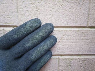 東京都中央区月島で藻が繁殖する前兆のある外壁を調査