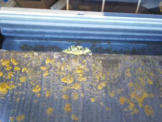 国分寺市南町にて屋根塗装前調査、築22年目の傷んだスレート屋根にはベスコロフィラーとファインパーフェクトベストをおすすめ