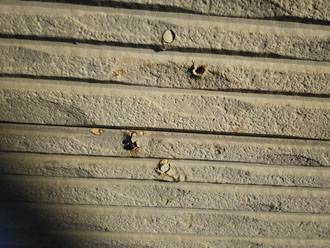 足立区六町で外壁塗装前のお住まい点検、サイディングの崩れた部分の苔の繁殖は危険信号