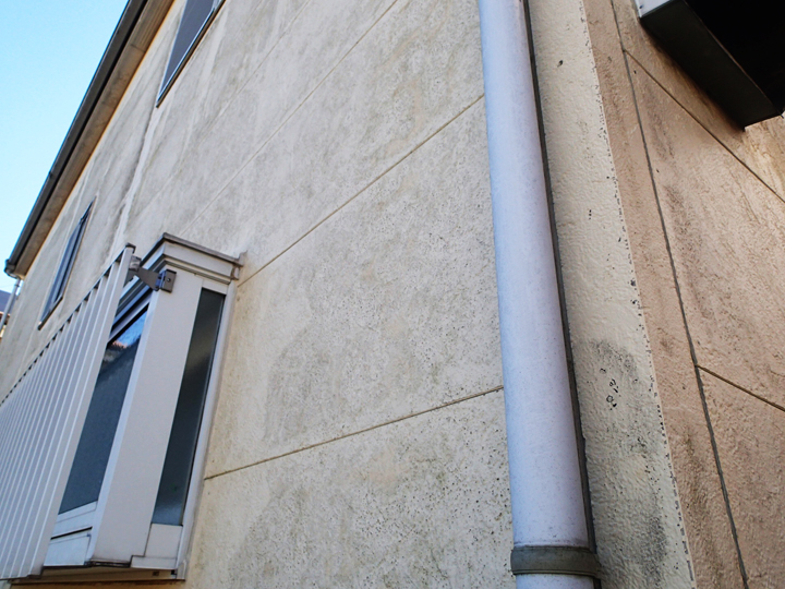 国分寺市戸倉にて外壁塗装前の調査、塗膜が劣化して藻が繁殖した窯業サイディングにはナノコンポジットWをおすすめしました