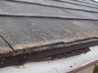 西東京市ひばりが丘にて築22年の屋根調査、苔が繁殖したスレートにファインパーフェクトベストによる塗装工事をご提案