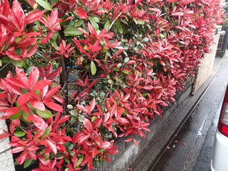 葛飾区にてブロック塀の塗り替えの事前調査