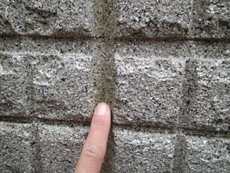 板橋区で広い屋上付きの大きな2階建てを点検、陸屋根の防水にやや難あり