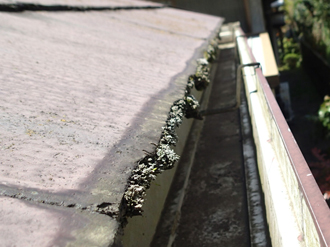 稲城市矢野口にて塗膜が劣化したスレート屋根の調査、耐候性・耐久性の高いファインパーフェクトベストによる塗装をご希望