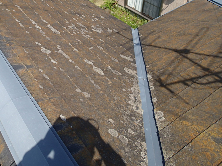 港区白金台にて屋根メンテナンス調査、塗膜劣化により苔が繁殖したスレート屋根にはファインパーフェクトベストによる塗装工事をおすすめ