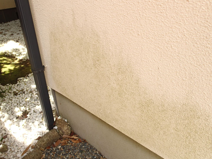 中野区南台にて外壁塗装前調査、多数のクラックが入ったモルタル外壁にはエラストコートによる塗装をおすすめ！