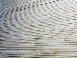 調布市柴崎にて外壁メンテナンス調査、塗膜劣化により藻が繁殖したサイディングにナノコンポジットWによる塗装工事をご提案