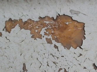 板橋区徳丸にてバルコニーの防水点検でFRP防水のトップコートの剥がれを発見