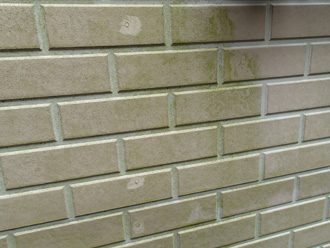 国立市谷保にて窯業サイディング塗装前調査、藻が繁殖してしまった外壁にナノコンポジットWによる塗装工事をご提案