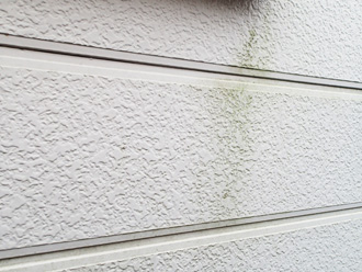 小金井市緑町にて築22年になる屋根・外壁塗装工事前点検、藻が繁殖したサイディングにはナノコンポジットWをおすすめ