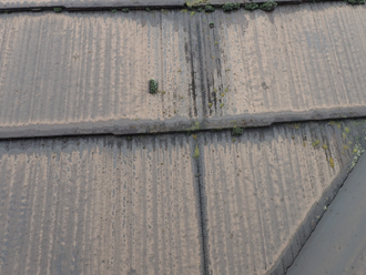 スレート瓦の劣化とお勧めな塗料の紹介｜江戸川区