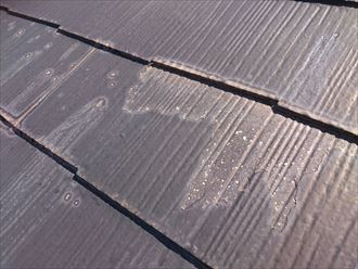 葛飾区で屋根塗装前調査を実施、これは塗装に不向き？