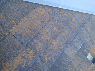 館山市国分にて屋根メンテナンスの調査、塗膜が劣化し苔が繁殖した化粧スレートにファインパーフェクトベストによる塗装工事をご提案