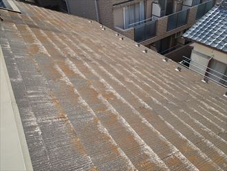 袖ケ浦市蔵波台にて初めての屋根塗装、屋根の苔や色褪せは塗装時期のサインです