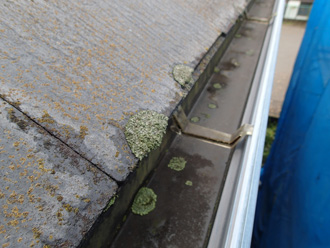 山武市松尾町八田にて屋根の調査、塗膜劣化により苔が繁殖したスレート屋根にサーモアイSiによる塗装工事をご提案