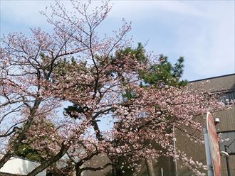 千葉市花見川区の塗装調査塗膜の劣化は建物からのＳＯＳ