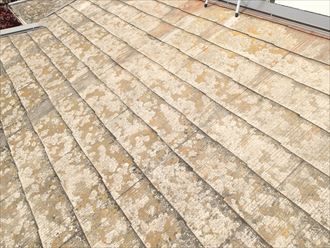 千葉市稲毛区の屋根塗装コロニアルの塗膜劣化は要注意