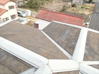 千葉市中央区の屋根塗装苔の発生遮熱塗料での塗装提案