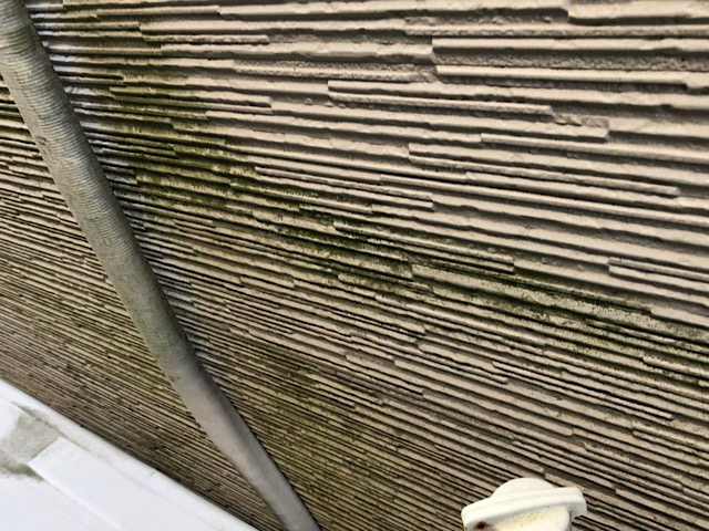 岐阜市でサイディングの壁に大量のカビやコケや藻！対処方法は？
