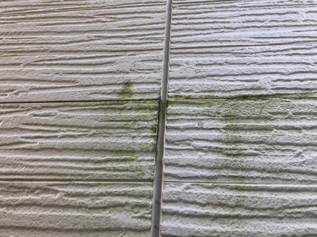 大垣市で外壁の藻やスレート屋根の劣化が目立つお宅の現地調査へ