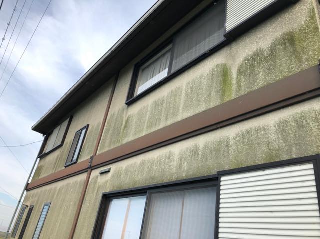 岐阜市で北側の外壁に大量に藻が生えている現場に伺いました