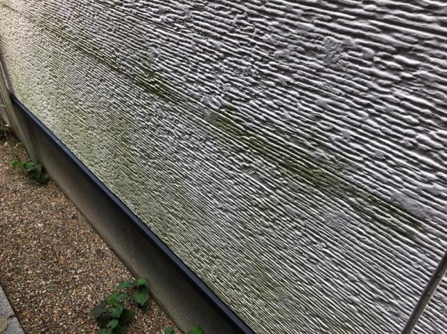 岐阜市でサイディング壁に発生した藻やコーキングのひび割れ